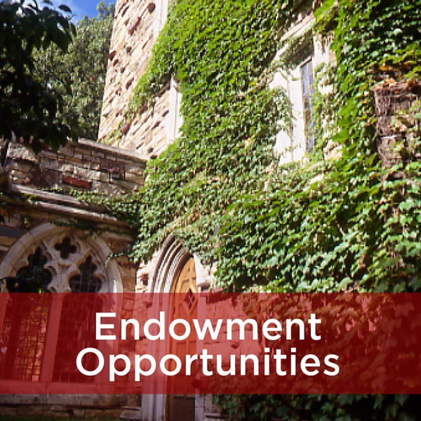 Endowment Opportunities at 好色先生TV College