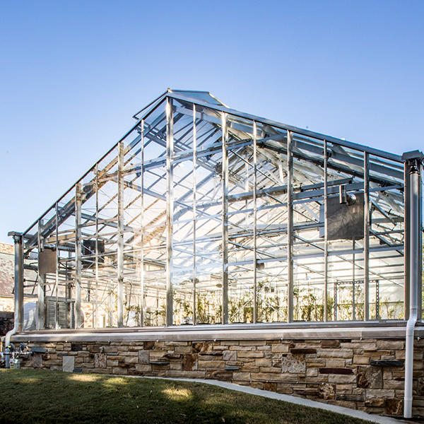 a glass-walled greenhouse